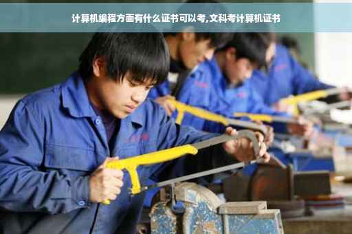 计算机编程方面有什么证书可以考,文科考计算机证书