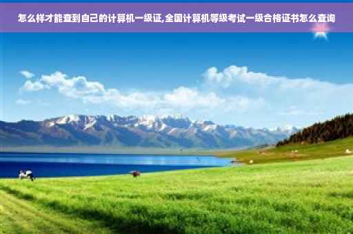 怎么样才能查到自己的计算机一级证,全国计算机等级考试一级合格证书怎么查询