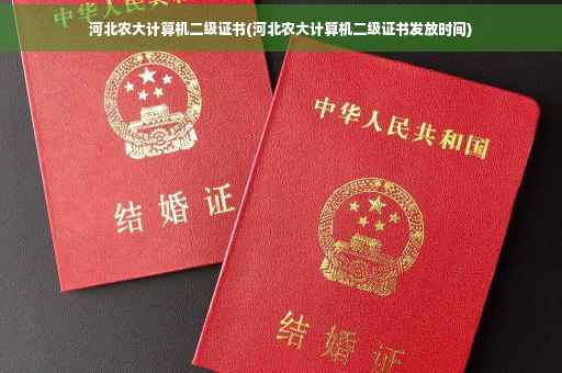 河北农大计算机二级证书(河北农大计算机二级证书发放时间)