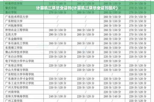 计算机三级毕业证书(计算机三级毕业证书图片)