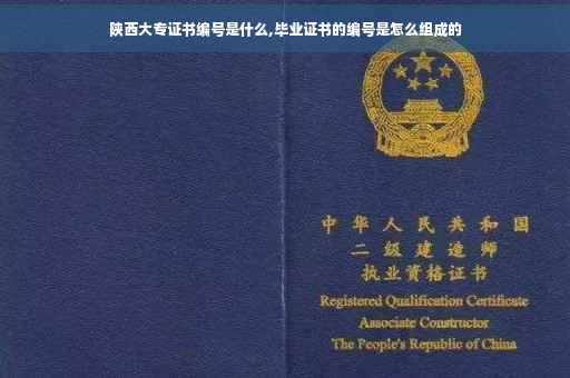 陕西大专证书编号是什么,毕业证书的编号是怎么组成的