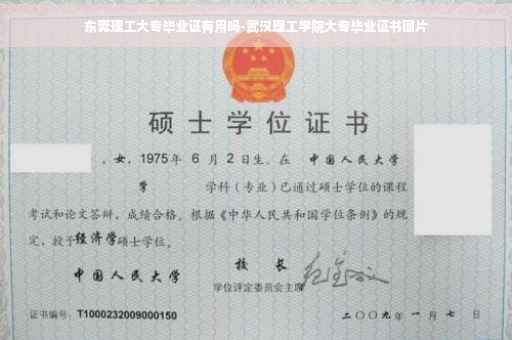 东莞理工大专毕业证有用吗-武汉理工学院大专毕业证书图片