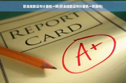 职业技能证书计算机一级(职业技能证书计算机一级算吗)