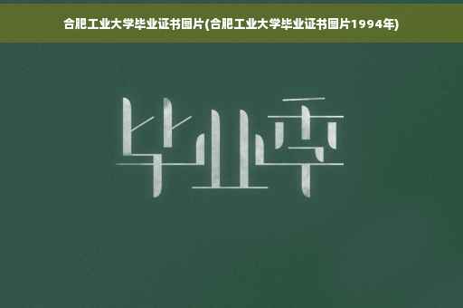 合肥工业大学毕业证书图片(合肥工业大学毕业证书图片1994年)