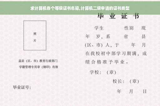 求计算机各个等级证书名称,计算机二级申请的证书类型