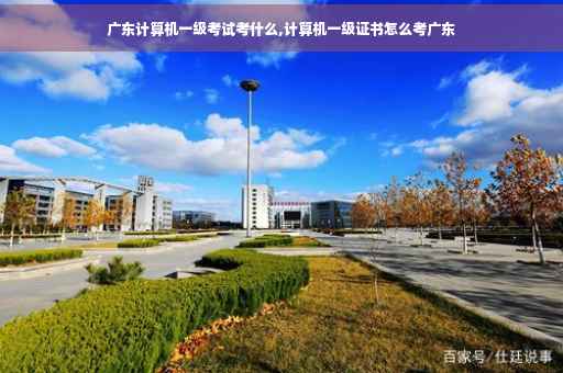 广东计算机一级考试考什么,计算机一级证书怎么考广东