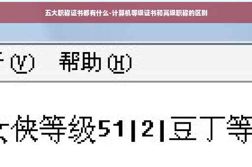 五大职称证书都有什么-计算机等级证书和高级职称的区别 五大职称证书都有什么-计算机等级证书和高级职称的区别
