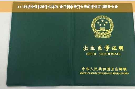 3+3的毕业证书是什么样的-全日制中专升大专的毕业证书图片大全