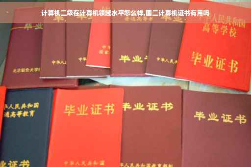 计算机二级在计算机领域水平怎么样,国二计算机证书有用吗