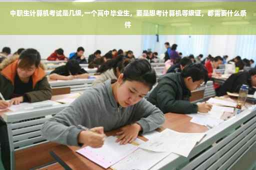 中职生计算机考试是几级,一个高中毕业生，要是想考计算机等级证，都需要什么条件