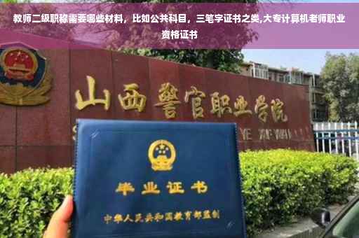 教师二级职称需要哪些材料，比如公共科目，三笔字证书之类,大专计算机老师职业资格证书