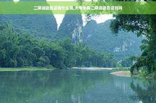 二级运动员证有什么用,大专生有二级运动员证书吗