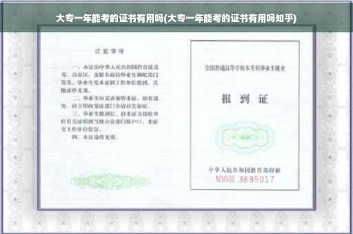 大专一年能考的证书有用吗(大专一年能考的证书有用吗知乎)