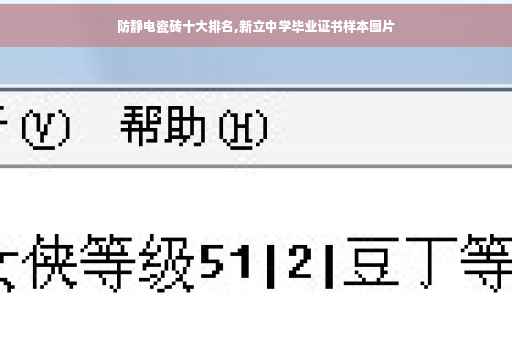 防静电瓷砖十大排名,新立中学毕业证书样本图片