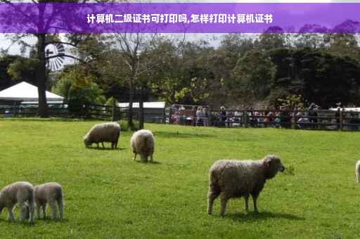 计算机二级证书可打印吗,怎样打印计算机证书