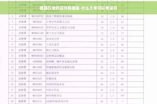 模具行业的证书有哪些-什么大专可以考证书