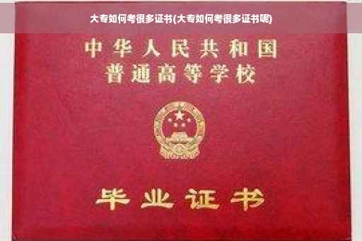 大专如何考很多证书(大专如何考很多证书呢)