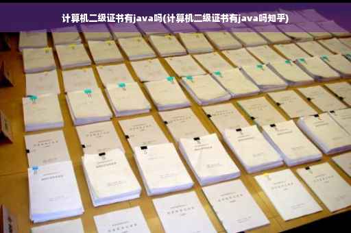 计算机二级证书有java吗(计算机二级证书有java吗知乎)