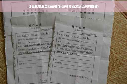 计算机专业奖项证书(计算机专业奖项证书有哪些)