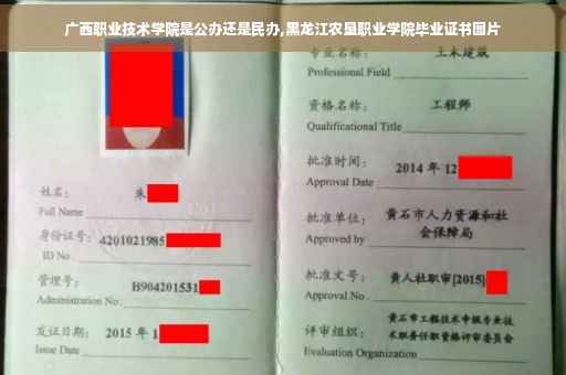 广西职业技术学院是公办还是民办,黑龙江农垦职业学院毕业证书图片