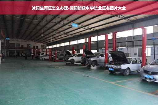 沭阳生育证怎么办理-潼阳初级中学毕业证书图片大全