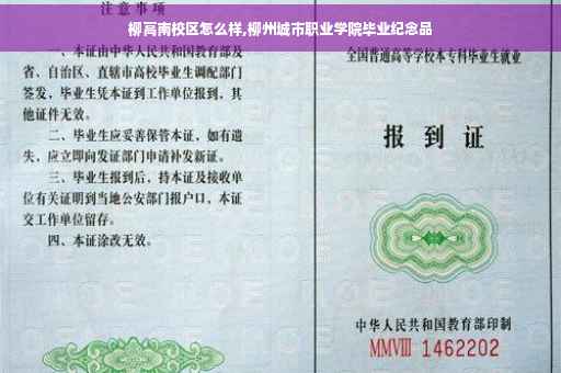 柳高南校区怎么样,柳州城市职业学院毕业纪念品