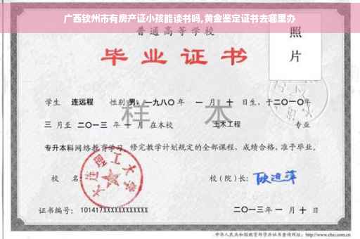 广西钦州市有房产证小孩能读书吗,黄金鉴定证书去哪里办