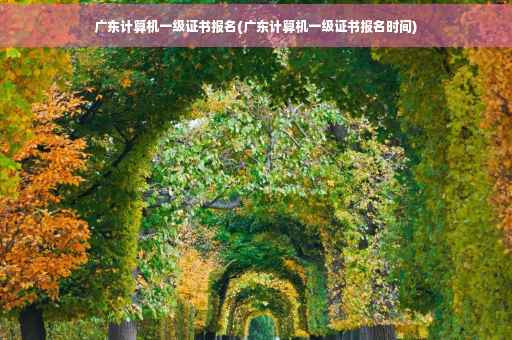 广东计算机一级证书报名(广东计算机一级证书报名时间)