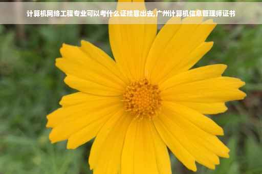 计算机网络工程专业可以考什么证挂靠出去,广州计算机信息管理师证书