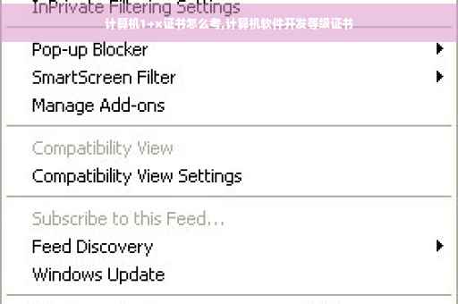 计算机1+x证书怎么考,计算机软件开发等级证书