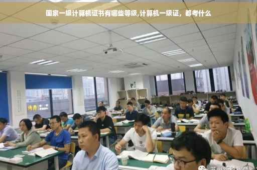国家一级计算机证书有哪些等级,计算机一级证，都考什么
