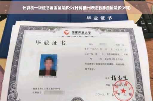 计算机一级证书含金量是多少(计算机一级证书含金量是多少啊)
