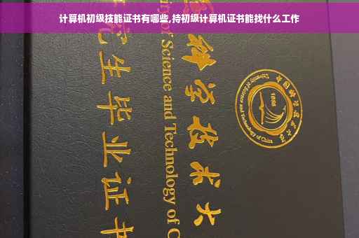 计算机初级技能证书有哪些,持初级计算机证书能找什么工作