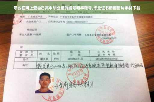 怎么在网上查自己高中毕业证的编号和学籍号,毕业证书动画图片素材下载