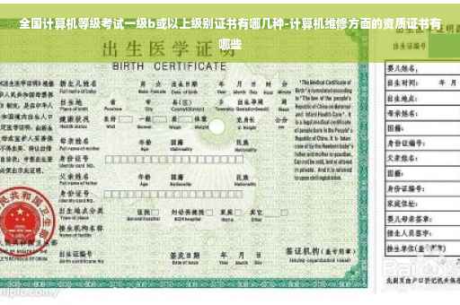 全国计算机等级考试一级b或以上级别证书有哪几种-计算机维修方面的资质证书有哪些