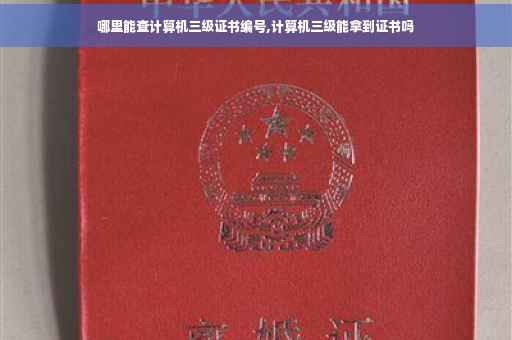 哪里能查计算机三级证书编号,计算机三级能拿到证书吗