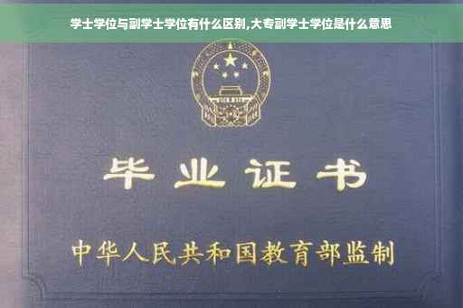 学士学位与副学士学位有什么区别,大专副学士学位是什么意思