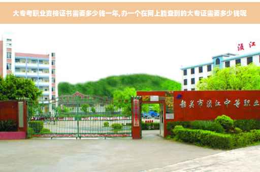 大专考职业资格证书需要多少钱一年,办一个在网上能查到的大专证需要多少钱呢