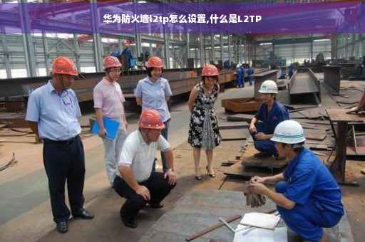 华为防火墙l2tp怎么设置,什么是L2TP