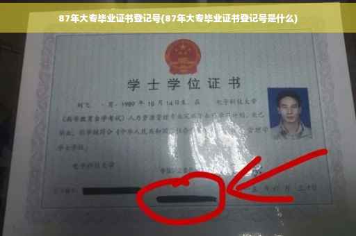 87年大专毕业证书登记号(87年大专毕业证书登记号是什么)