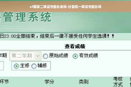 vf国家二级证书能补发吗-计算机一级证书能补吗