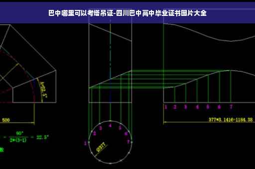 巴中哪里可以考塔吊证-四川巴中高中毕业证书图片大全