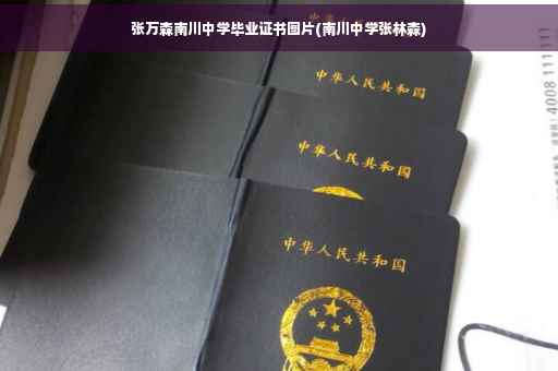 张万森南川中学毕业证书图片(南川中学张林森)