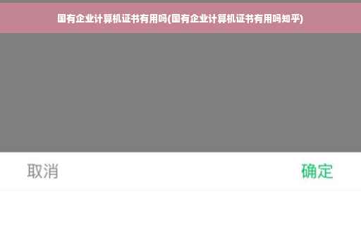国有企业计算机证书有用吗(国有企业计算机证书有用吗知乎)