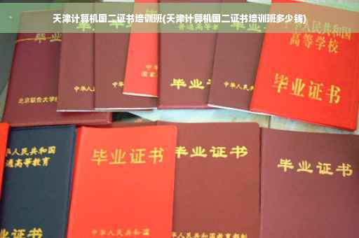 天津计算机国二证书培训班(天津计算机国二证书培训班多少钱)