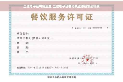 二建电子证书哪里查,二建电子证书和执业印章怎么领取