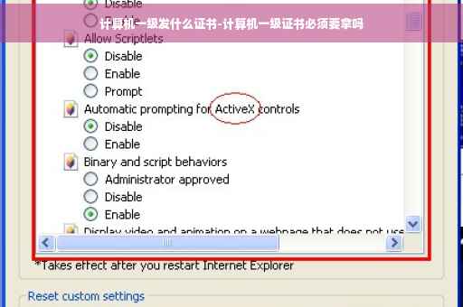计算机一级发什么证书-计算机一级证书必须要拿吗