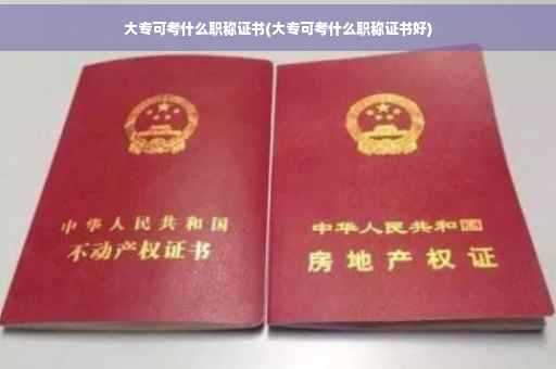 大专可考什么职称证书(大专可考什么职称证书好)
