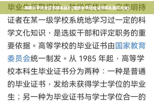 南桥中学毕业证书样本图片(南桥中学毕业证书样本图片大全)