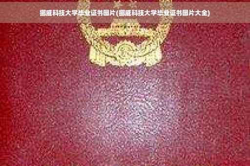 挪威科技大学毕业证书图片(挪威科技大学毕业证书图片大全) 挪威科技大学毕业证书图片(挪威科技大学毕业证书图片大全)